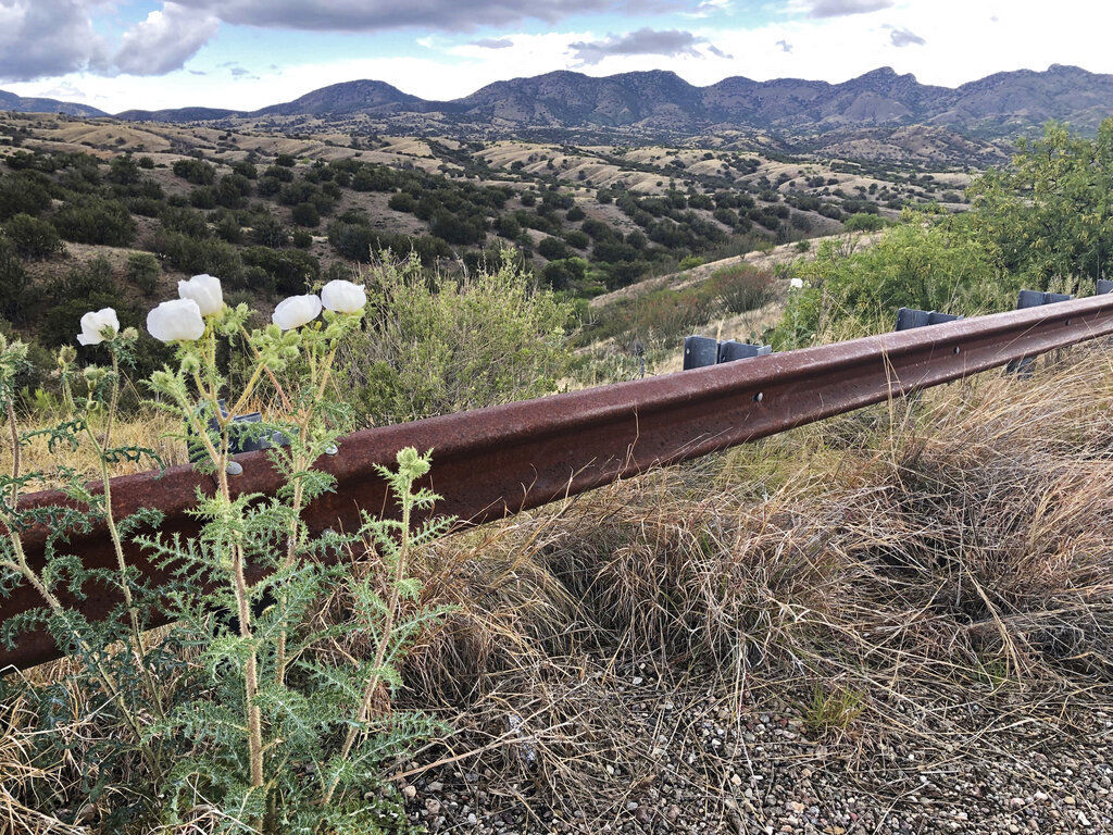 Santa Rita Mountains