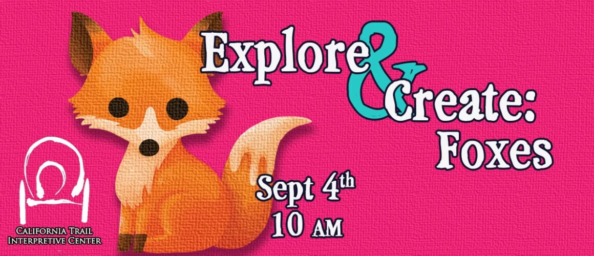 Explore and Create: Foxes