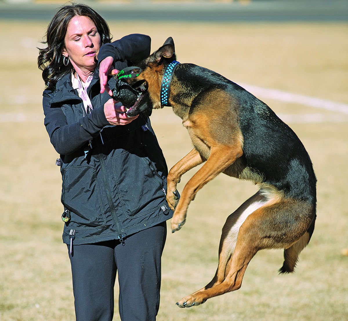 Elko woman trains dog for protection sport