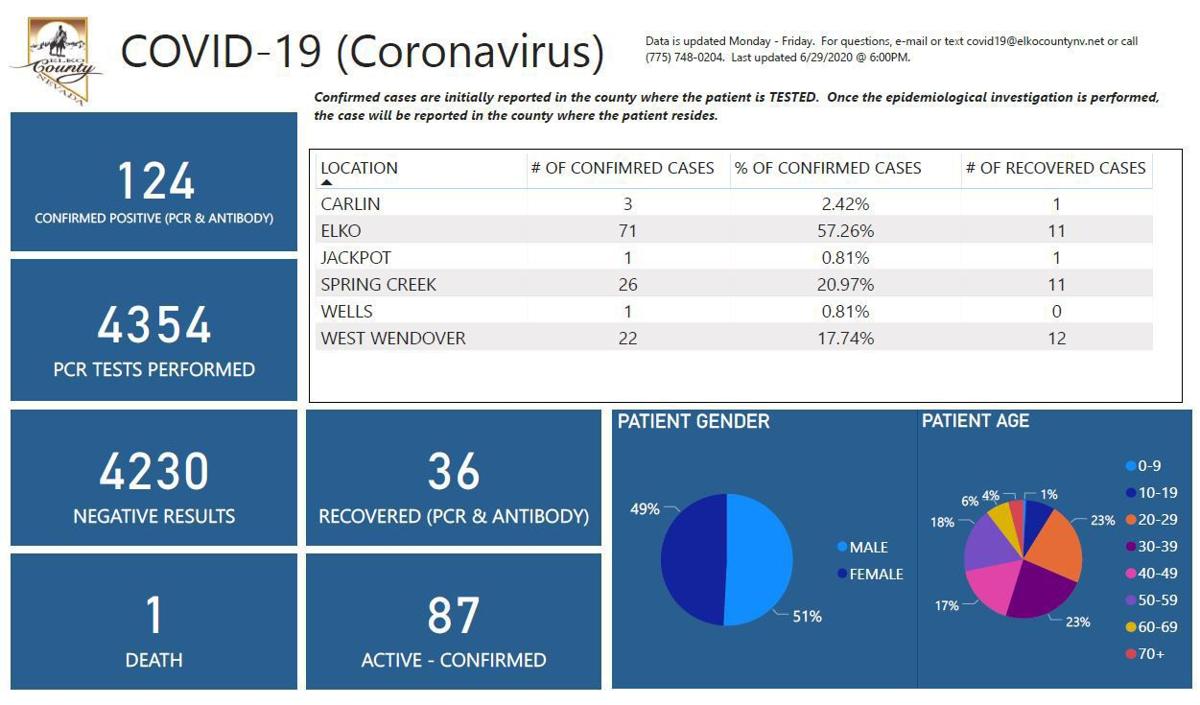 Elko County coronavirus cases