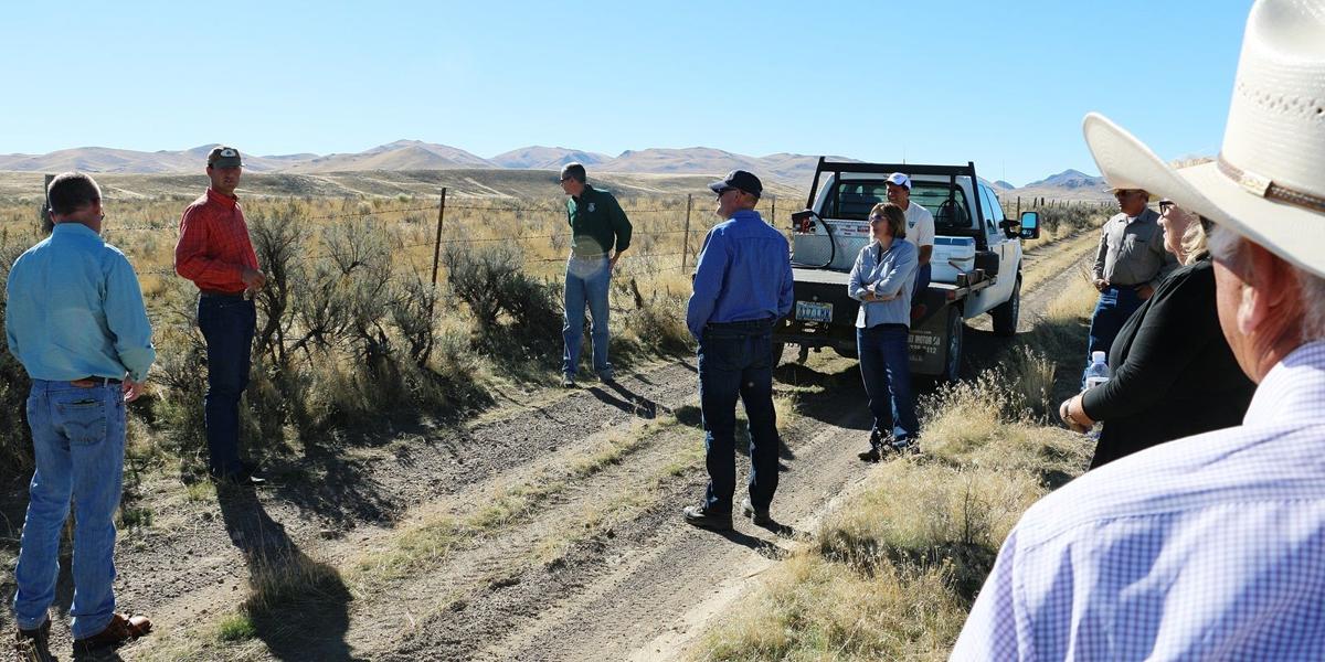 Newmont coordinates with federal, state agencies on landscape-scale conservation efforts