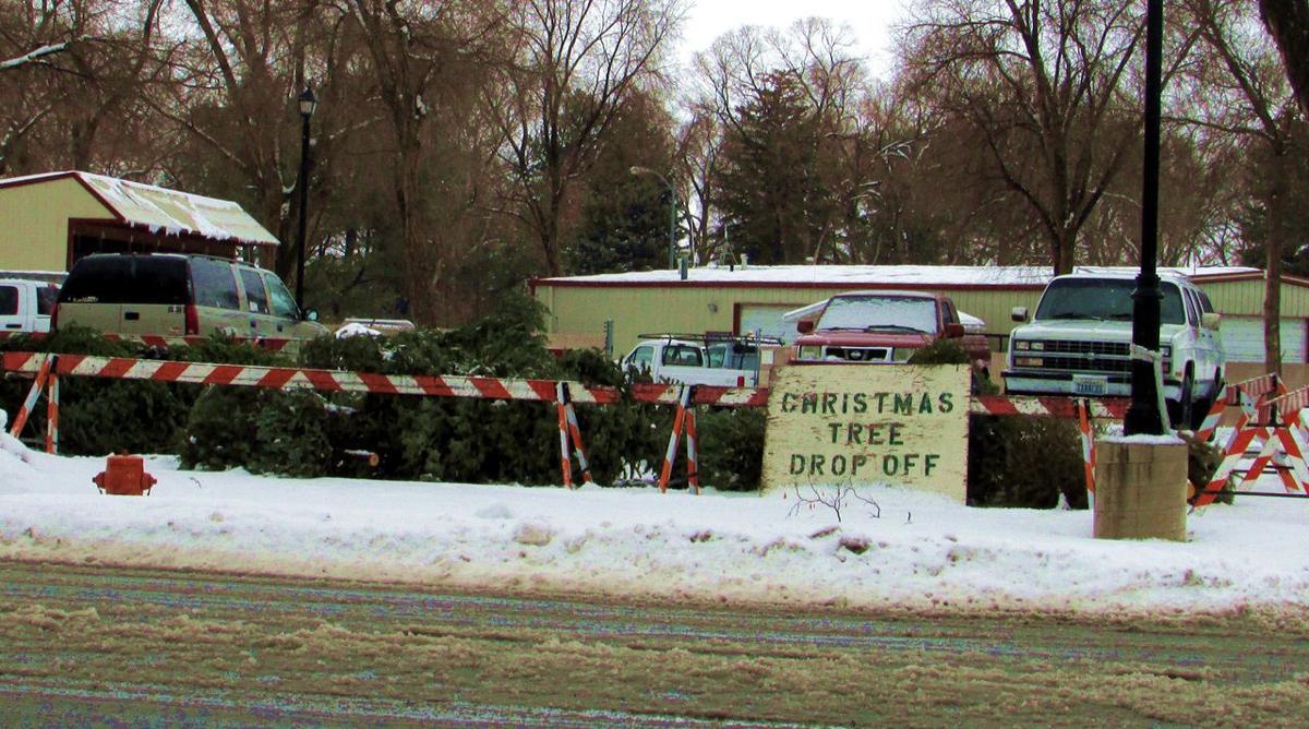 City to pick up Christmas trees