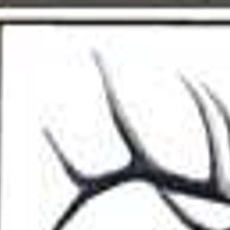 Putting The Elk In Elko County Elkodaily Com