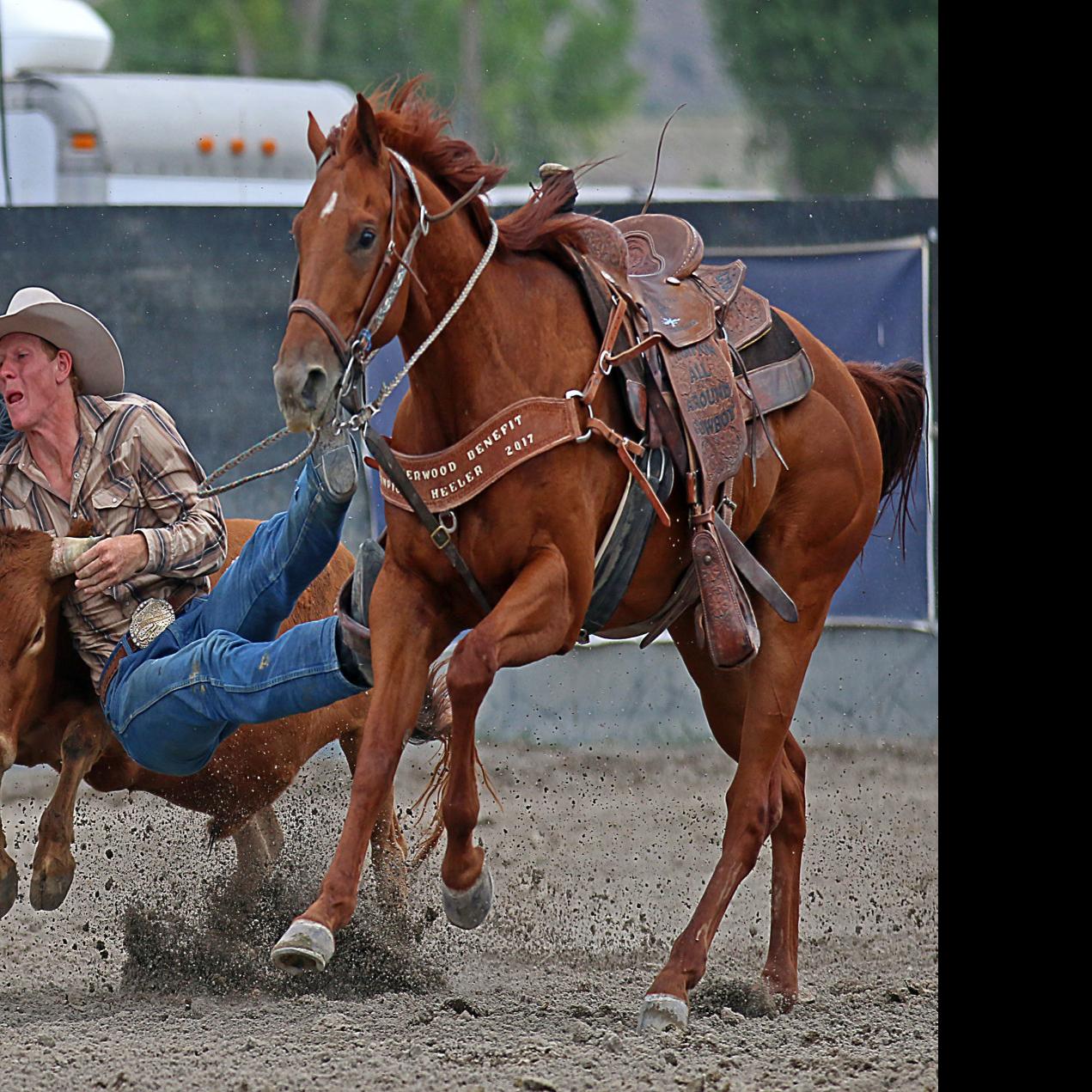 Stampede Wraps Up 3 Day Experiment Local Sports Elkodaily Com