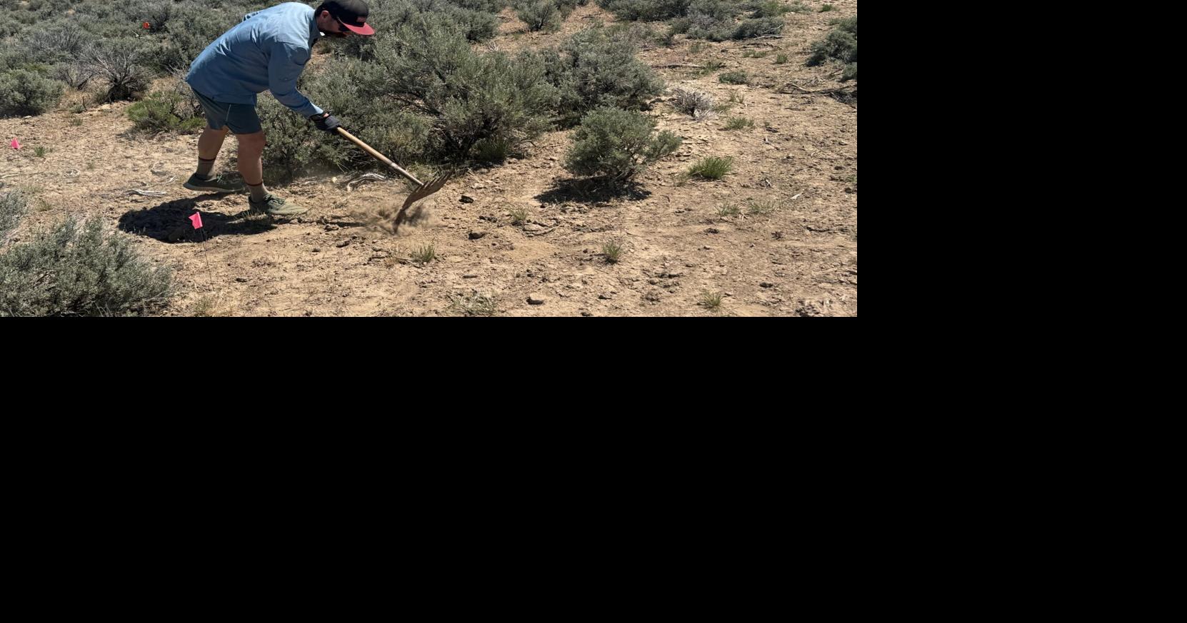 Land clearing begins for Spring Creek trail system