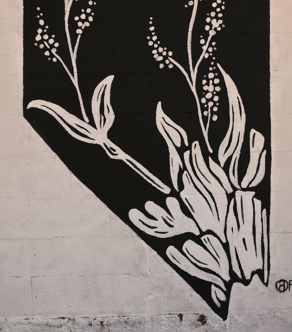 Elko Murals The Full Collection And Where To Find Them Local Elkodaily Com