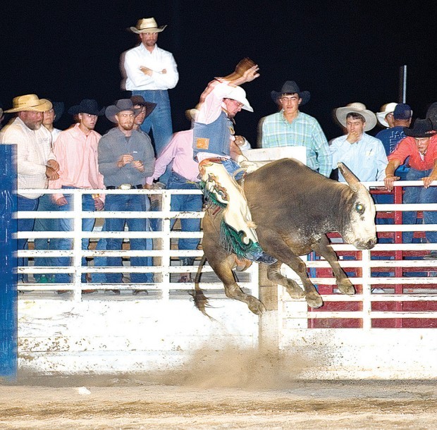 Professional rodeo finds success in Elko Local