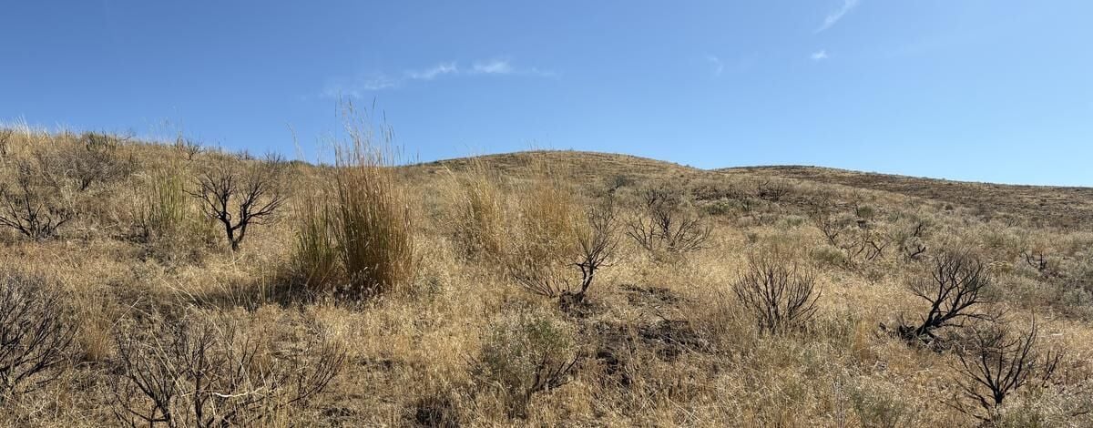 UPDATE: Low-level aerial spraying flights to continue in late October to complete project in the Magic Valley Region