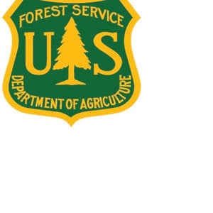 forest service travel comp