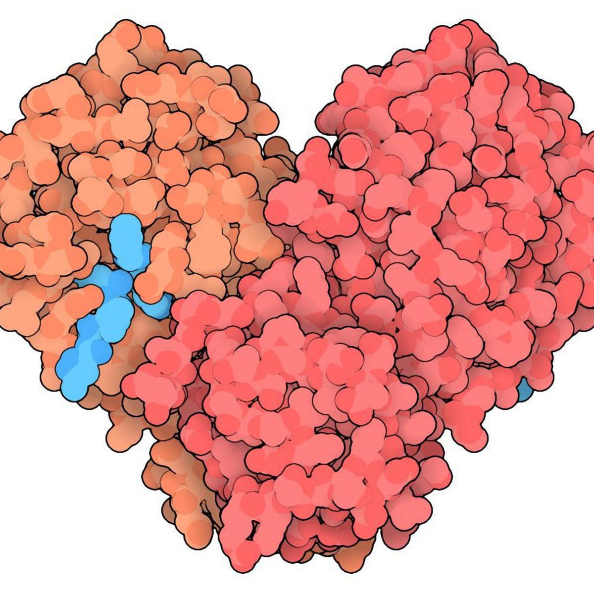Speaking Of Science Structural Biology To The Rescue The Race