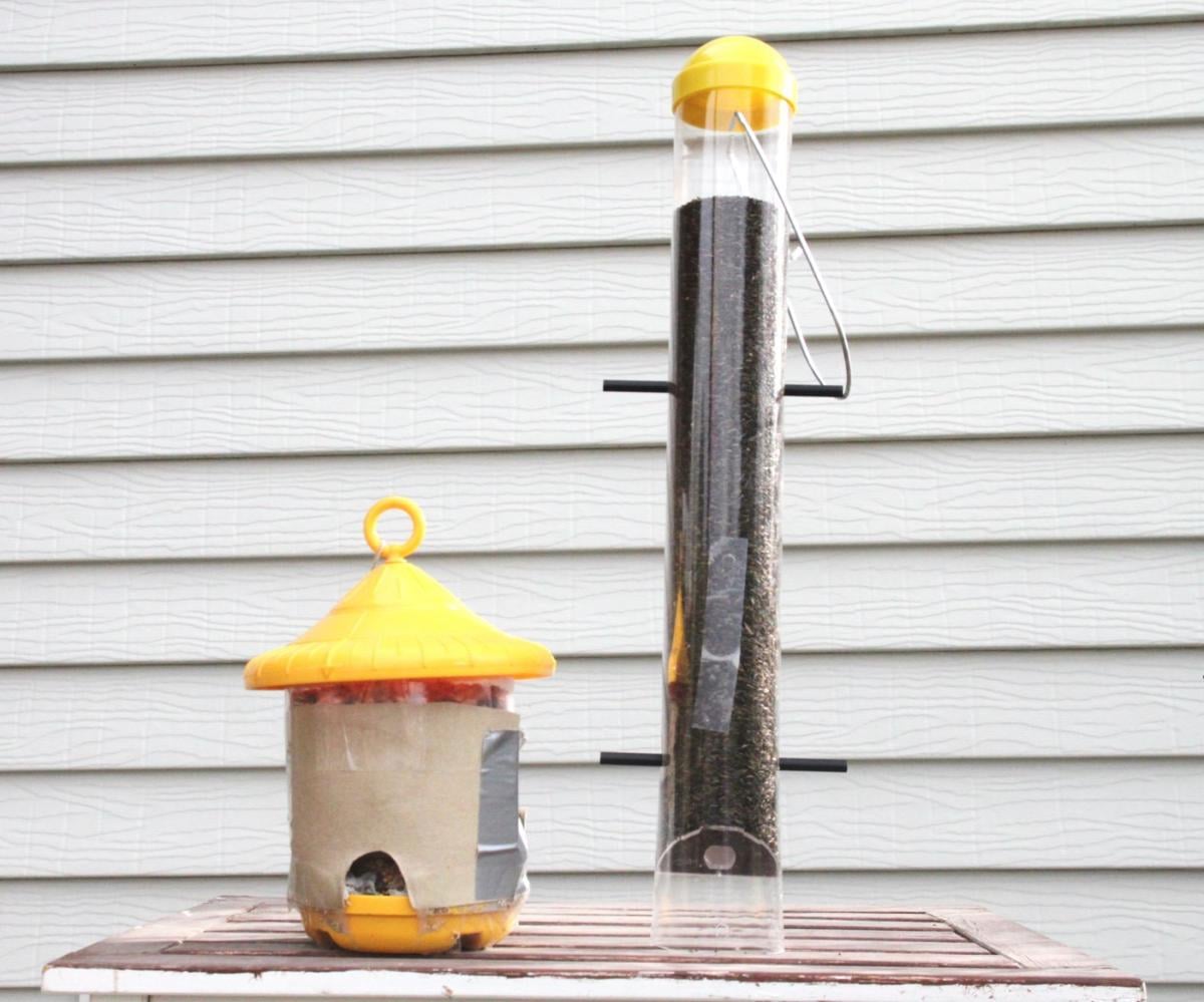 Nature Notes Feeders For And Against House Sparrows