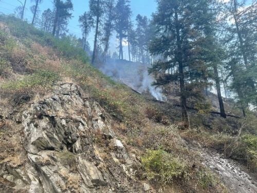 US-12 open to one-lane traffic near Greer during fire operations