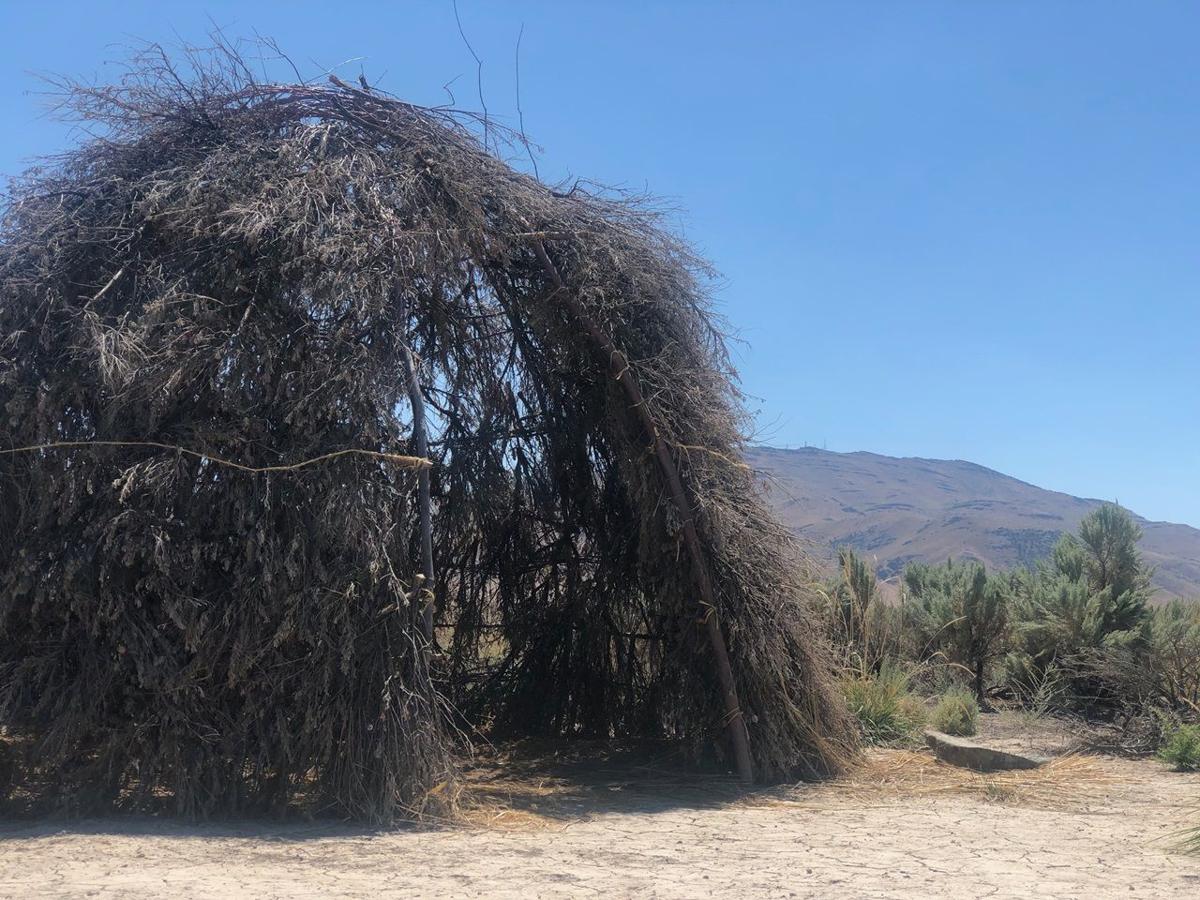 Sage hut