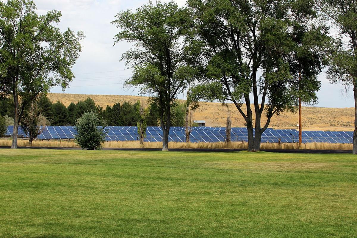 Nevada Youth Training Center Centennial Elkodaily Com
