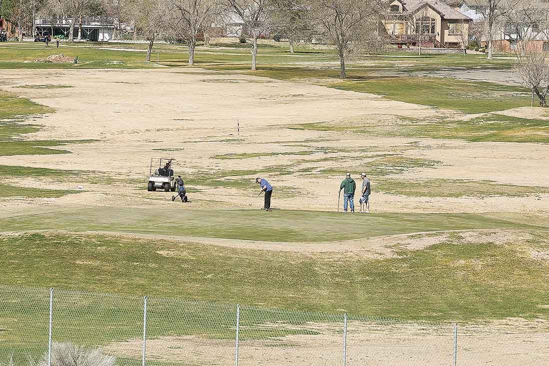 Golf course suffers from winter kill Golf course suffers from winter kill
