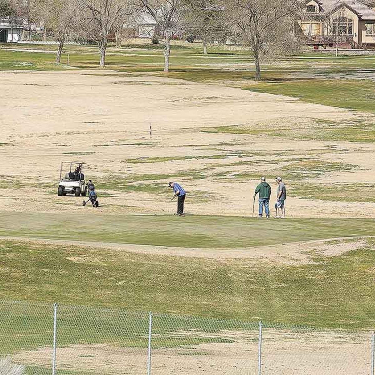 Golf Course Suffers From Winter Kill Local Elkodaily Com