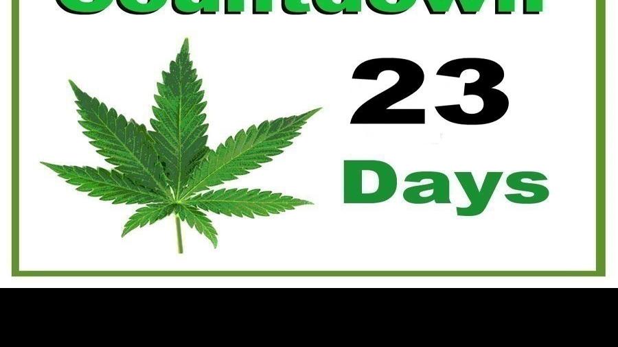 Countdown to legal pot What are common nicknames for marijuana