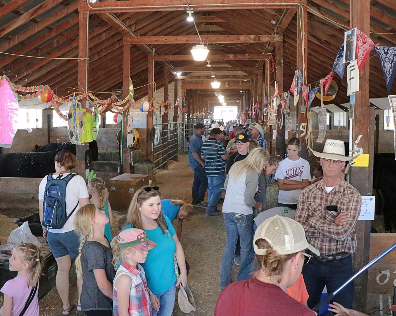Elko County Fair returns
