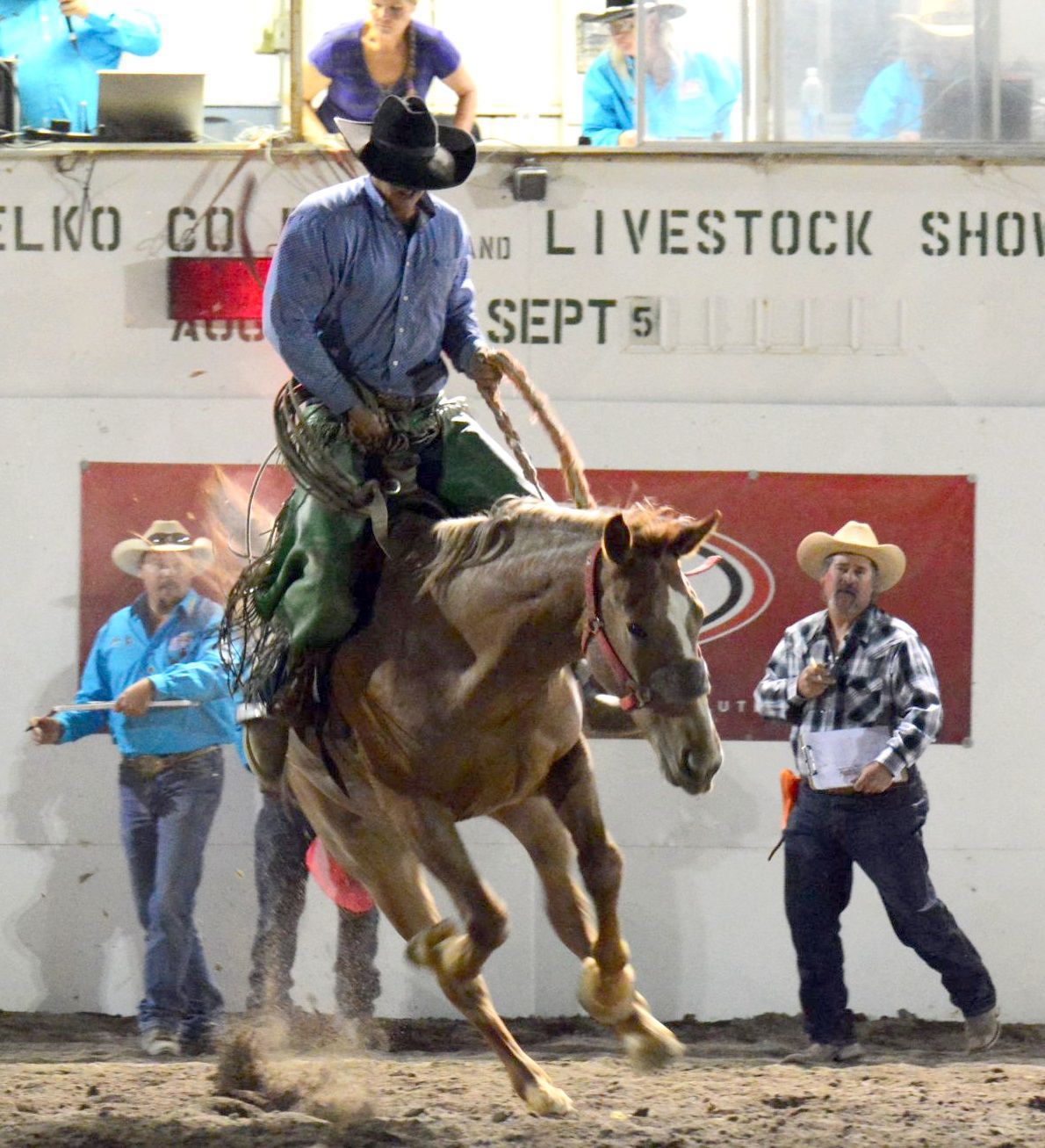 Rodeo and barrel racing action at the fair Lifestyles