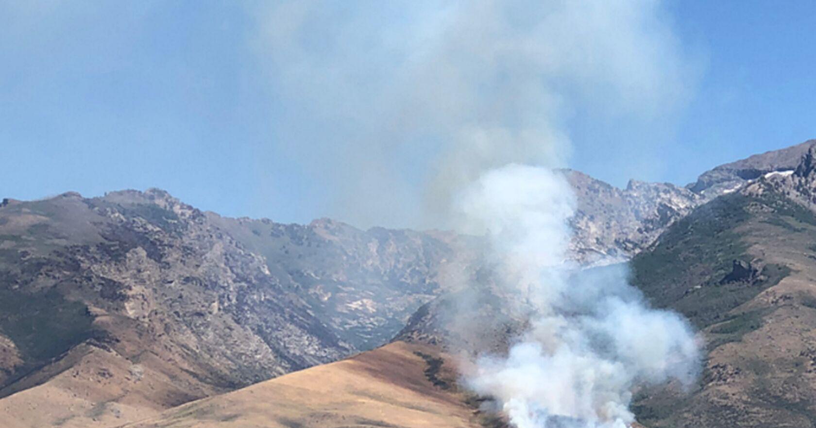 Here's what Elko's wildland firefighters face this summer - Vimarsana News