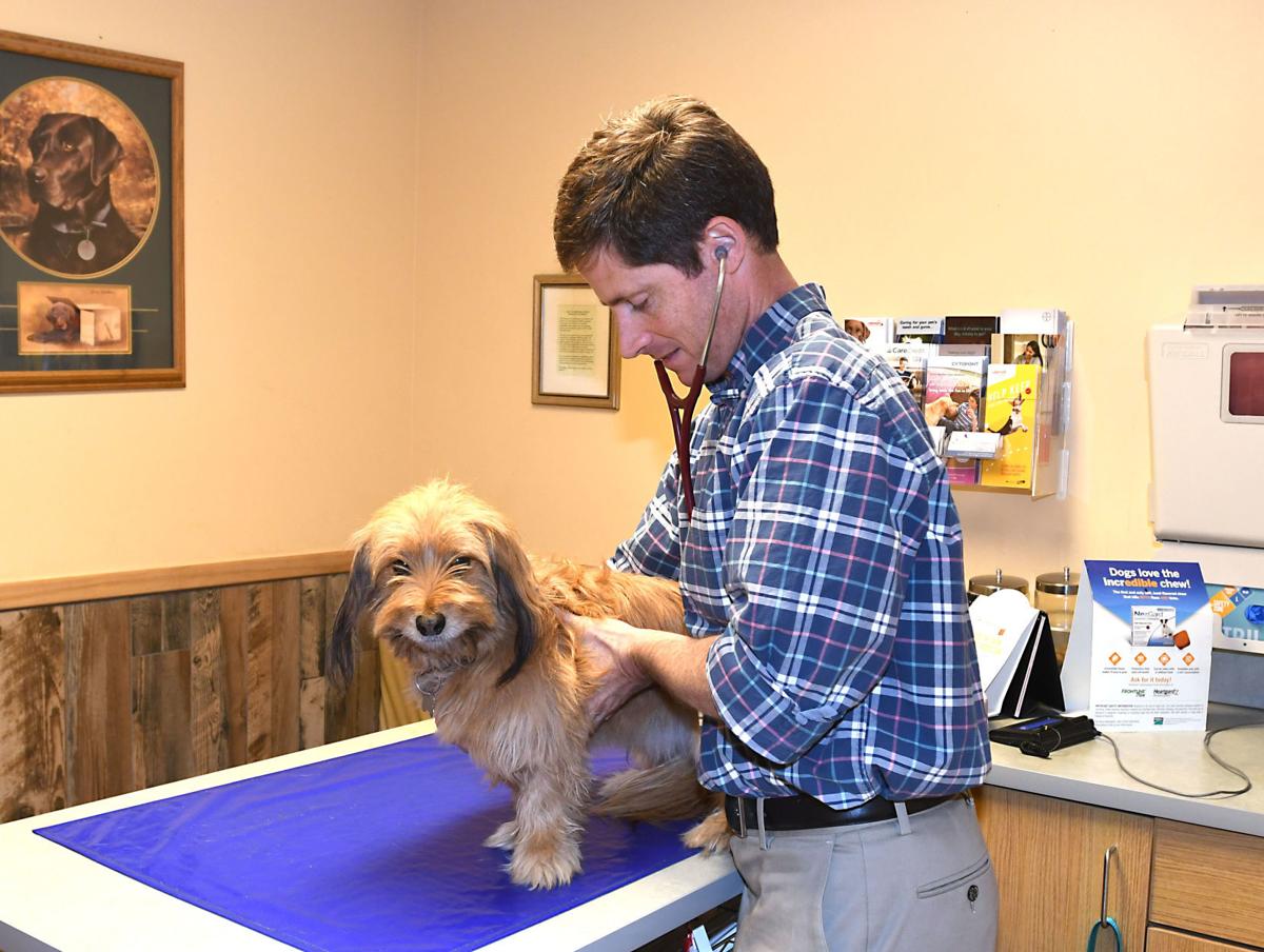 Elko Veterinary Clinic welcomes new doctor