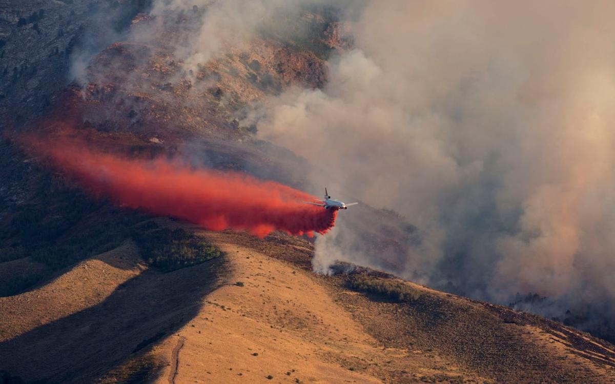 White Pine Blaze Advances Into Elko County Local Elkodaily Com