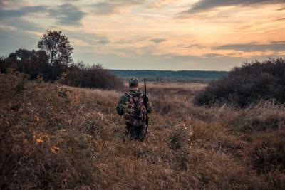 Hunter man in camouflage with shotgun creeping through tall reed grass and bushes with dramatic sunset sky during hunting season