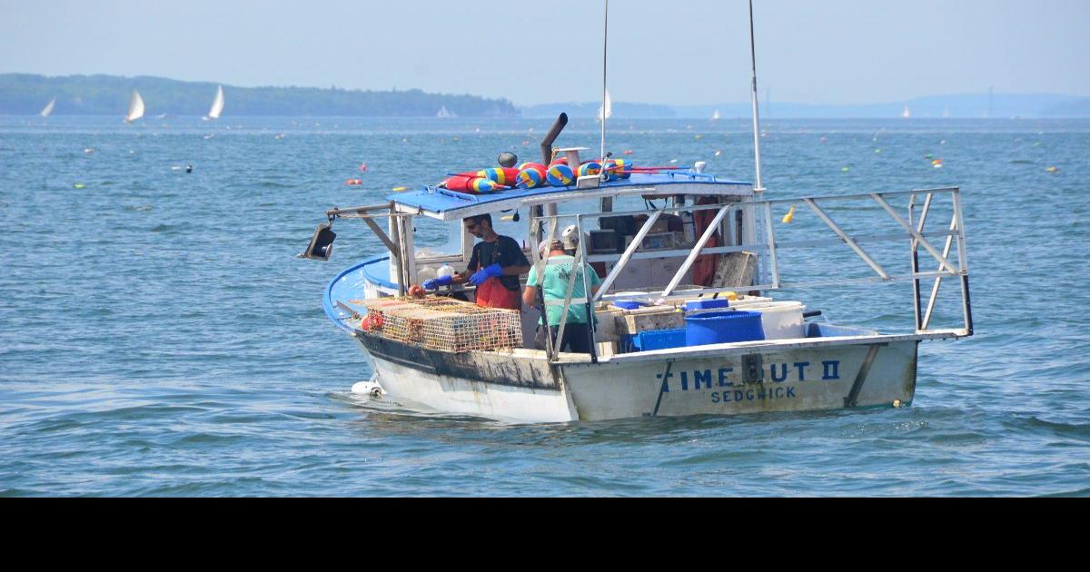 Demand for Maine seafood plummets Cops & Courts