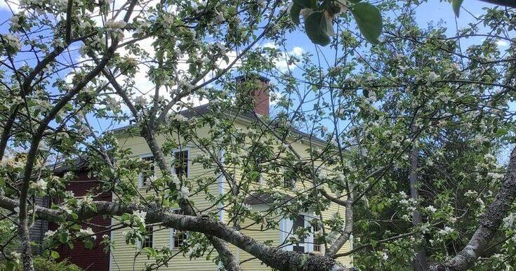 Fall at the House of Fisher: Historic orchard tours Sept. 26, autumn celebration Oct. 11