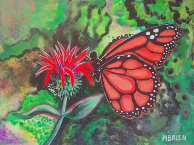 butterfly on monarda Meghann O’Brien image
