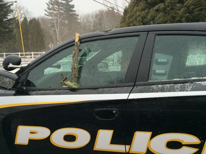 Tree Damages Police Cruiser During Storm | Cops & Courts ...