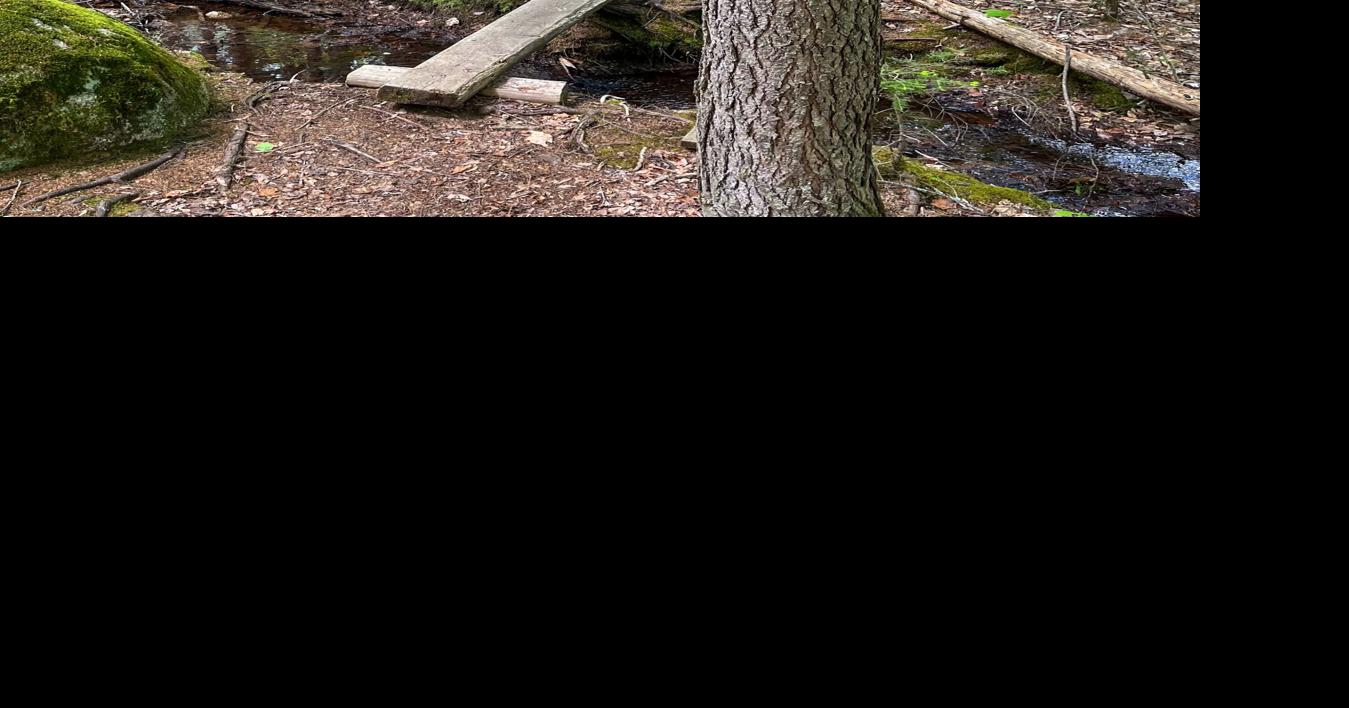 Walk, run, hike, bike: Schoodic Mountain offers 360° views
