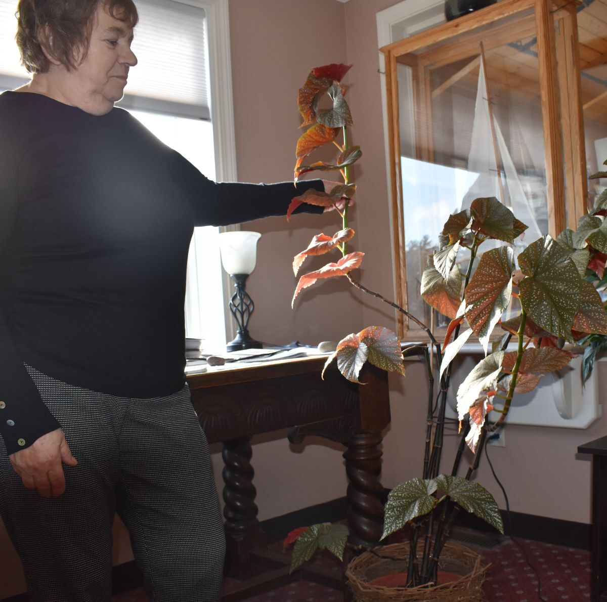 Einstein's begonia greets guests at the Eagle's Lodge | Business |  