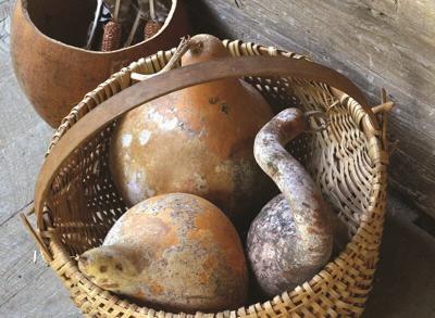 Basket Of Gourds