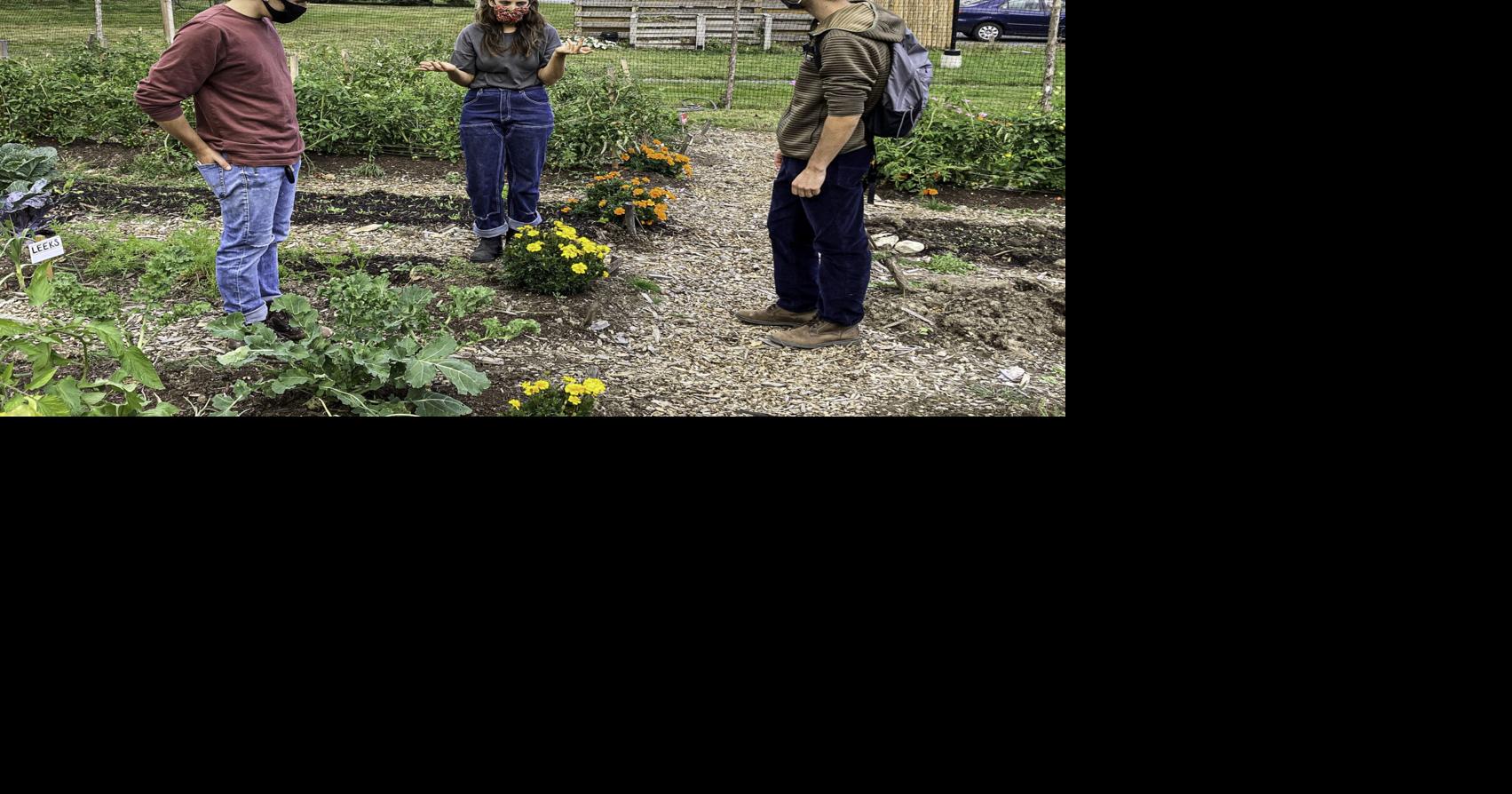 Blue Hill Community Garden teaches, feeds Food