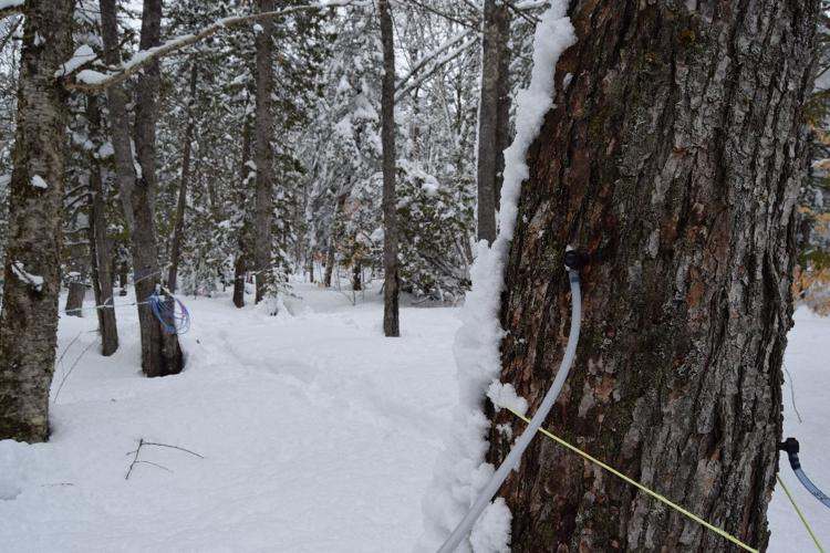 Syrup maker builds sugar shack from salvaged materials Food