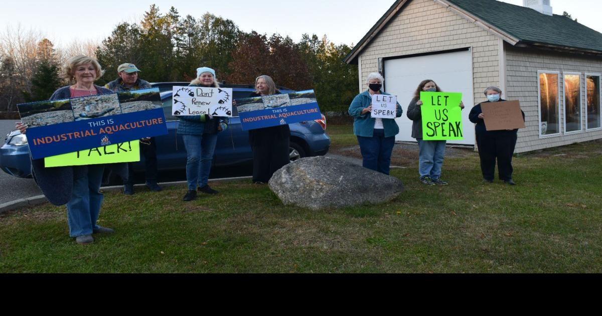 Dieoff fuels opposition to Cooke lease renewal News