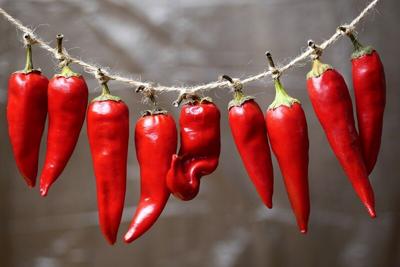 closeup of red chili peppers hanging  on a rope