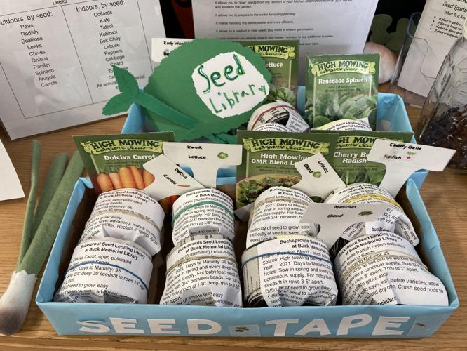 Saving seeds saves money and garden variety, too House & Garden