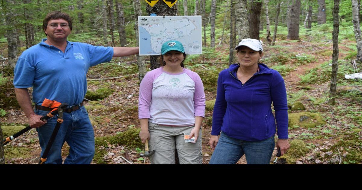 Volunteers clear trails, install signs at public forest Environment