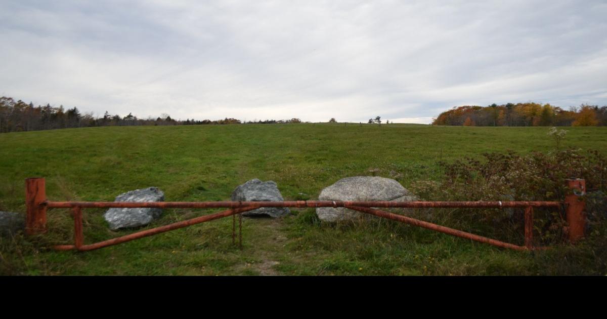 Former dump eyed for solar farm News