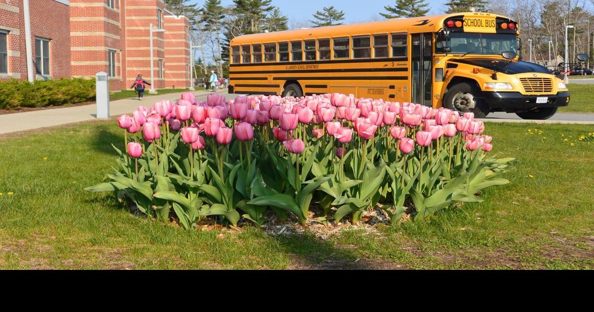 Ellsworth School Department retires longtime driver’s bus number