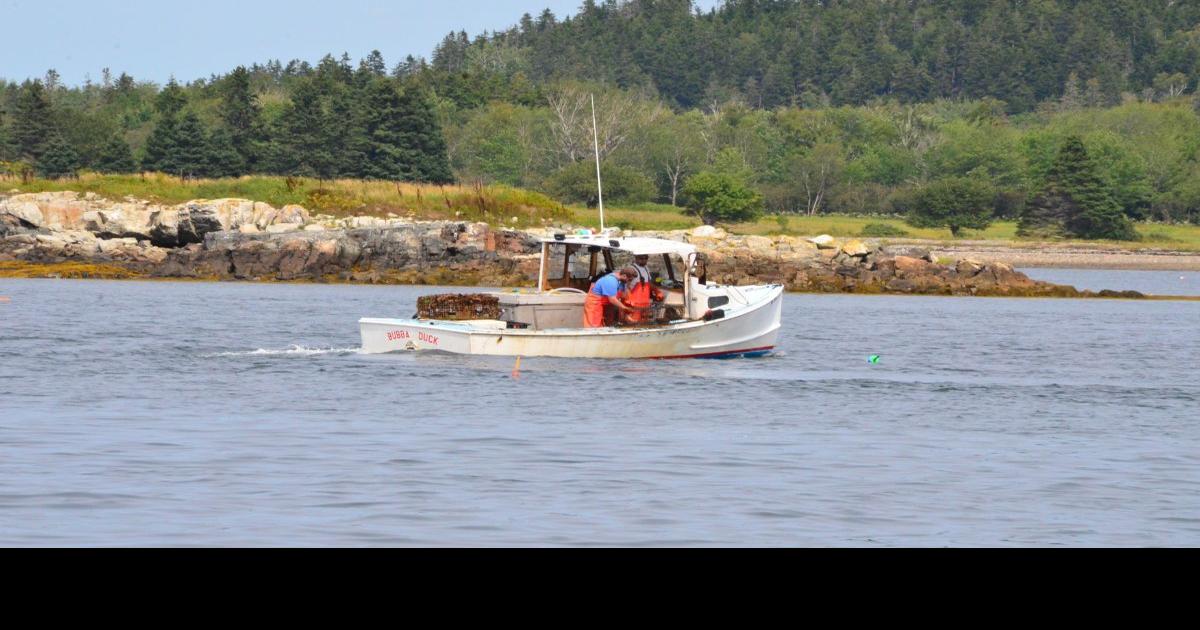 Marine Resources Committee off to an ambitious start News