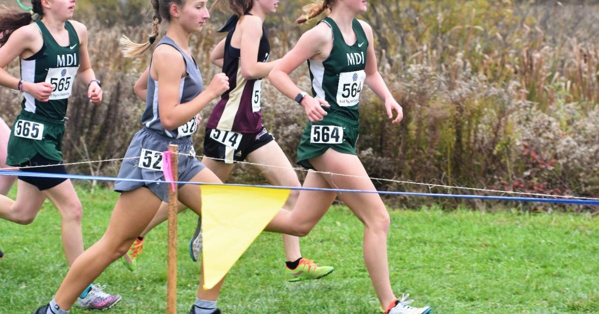 Local runners, teams qualify for state XC championships | Cross-Country ...