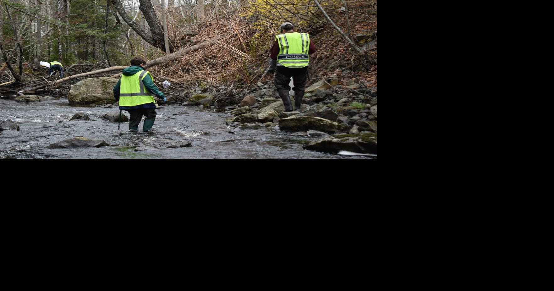 Volunteers sought for Card Brook Cleanup | Environment ...