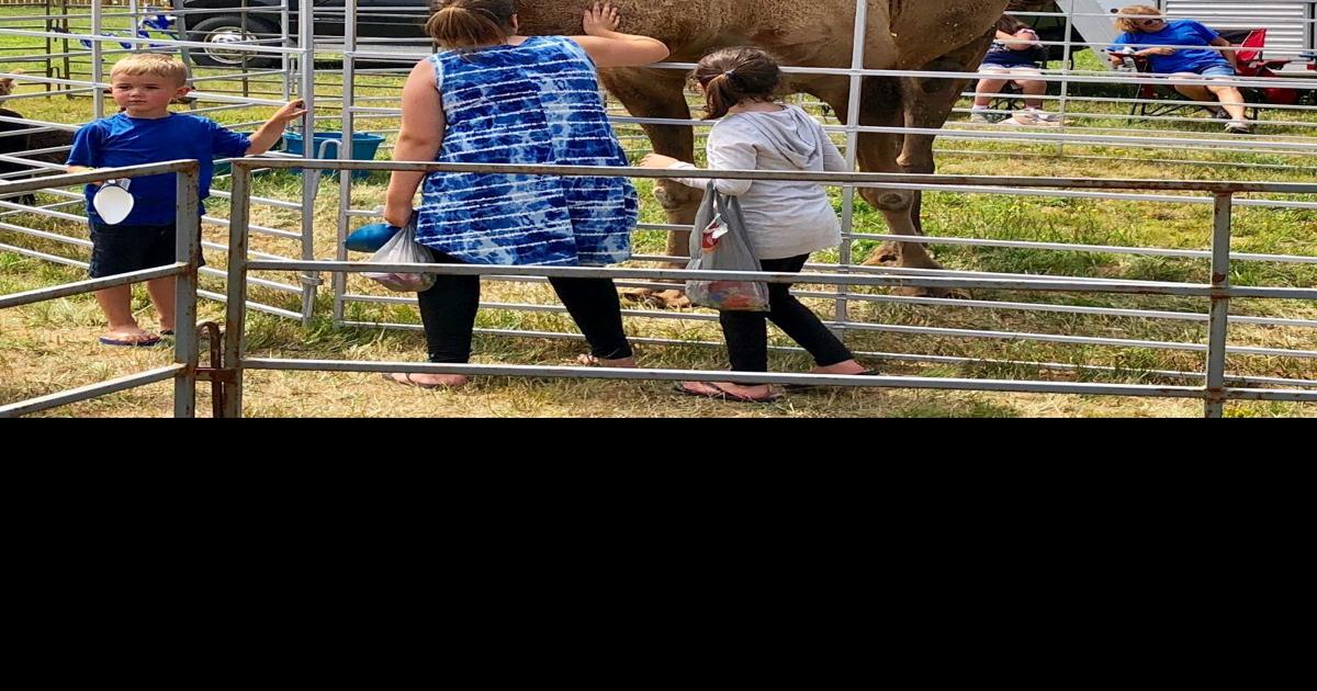 Caesar the Camel returns to Milbridge Days News