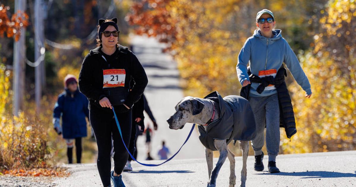 Local Howl Reviews Howl-O-Run 5K to benefit local SPCA | News | ellsworthamerican.com
