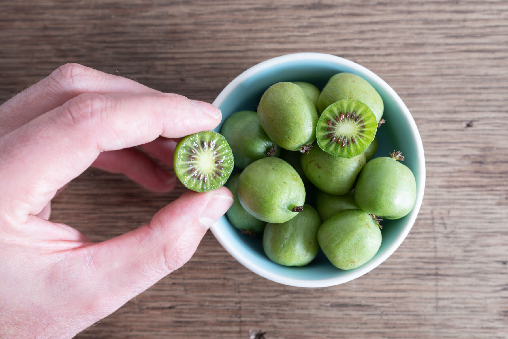 Not just in New Zealand: Hardy kiwi, cousin to the fuzzy grocery
