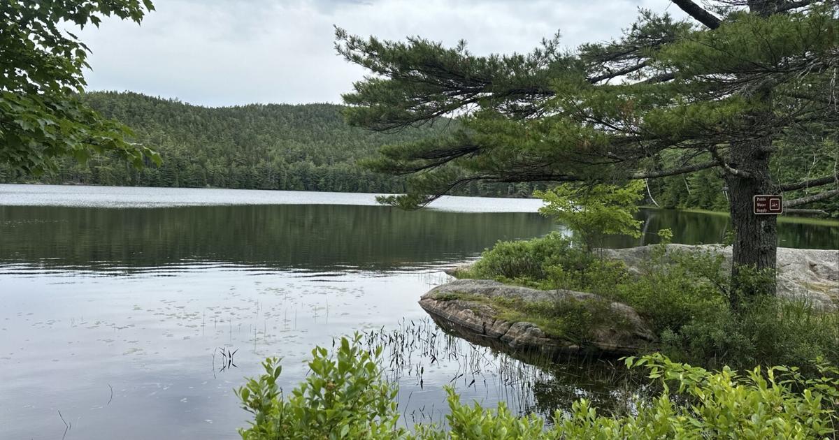 Hackbridge Pond Water walk: Lower Hadlock Pond great choice for a day hike in Northeast ...