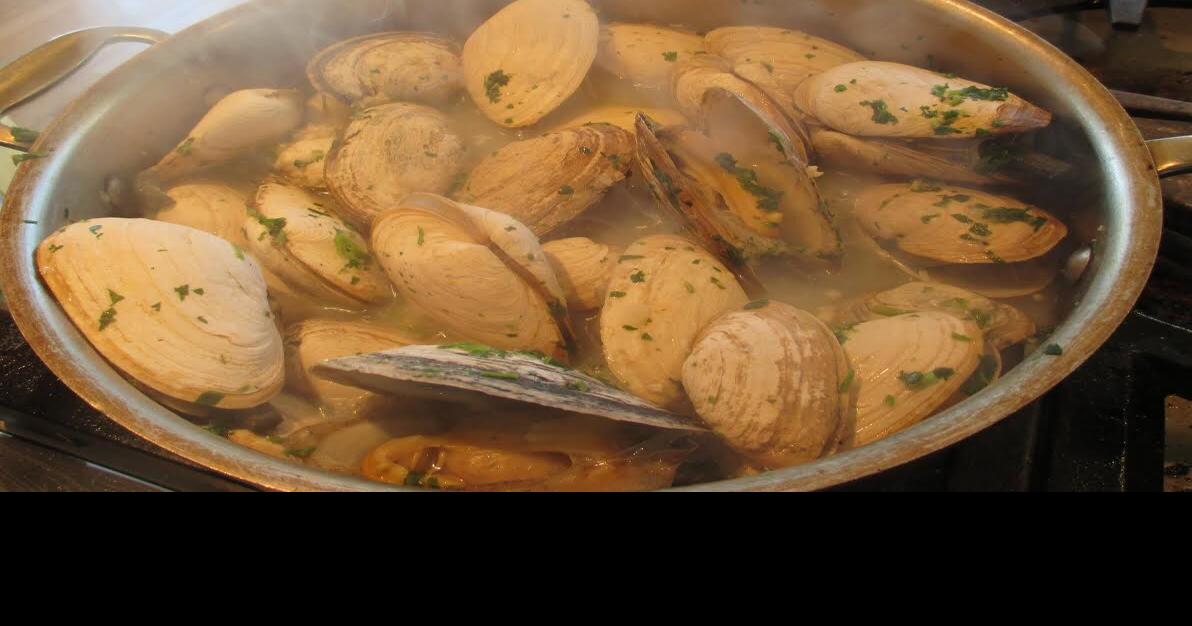 Get your “clam eyes” on Archives